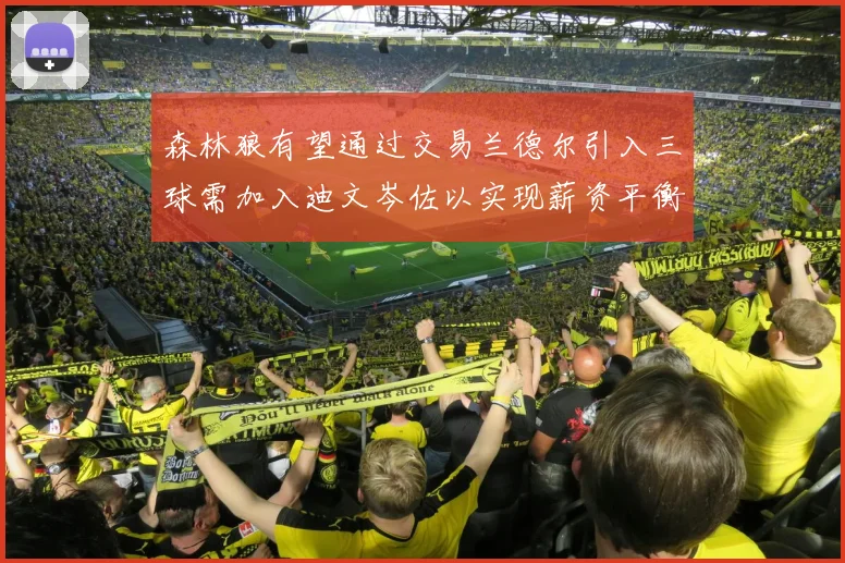 森林狼有望通过交易兰德尔引入三球需加入迪文岑佐以实现薪资平衡