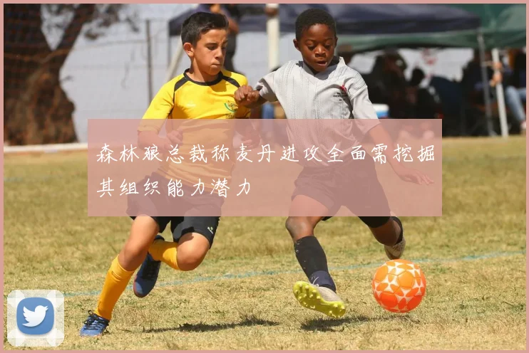 森林狼总裁称麦丹进攻全面需挖掘其组织能力潜力